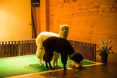 《暗黑4》测试版可以删了 正式版不会在测试版基础上更新